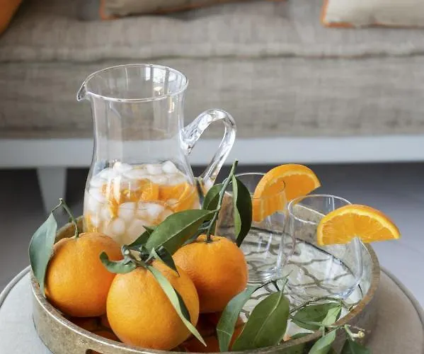 فيلة - Galidia *