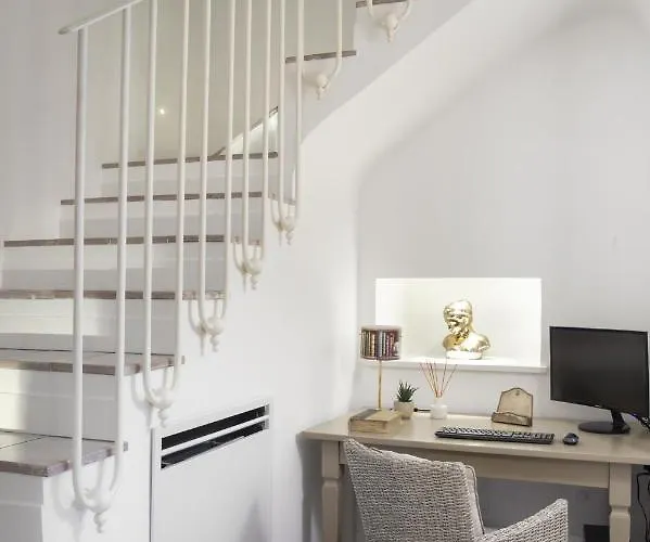 - Galidia * سورينتو