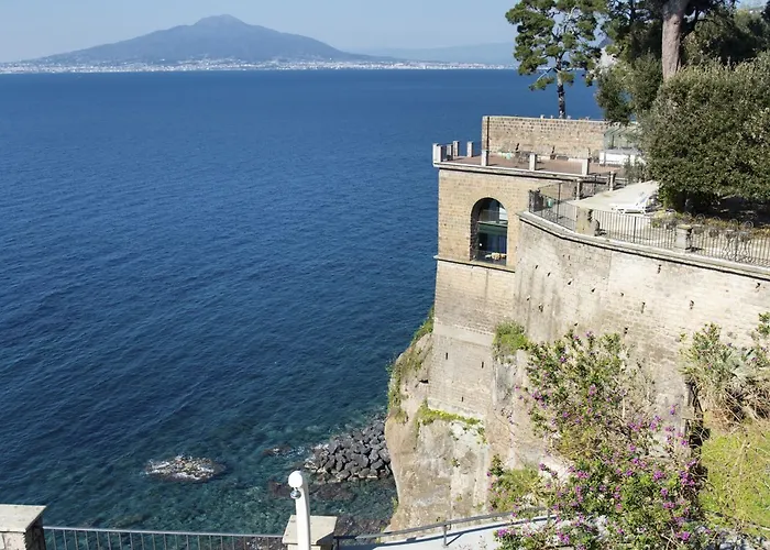 - Galidia * سورينتو