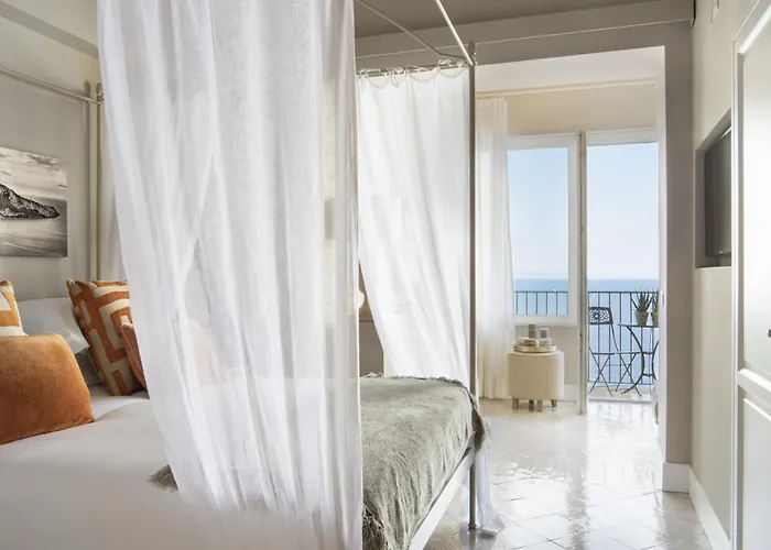 - Galidia فيلة سورينتو