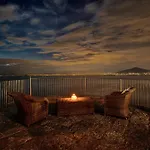 - Galidia Sorrento