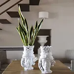 Villa - Galidia