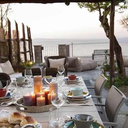 - Galidia ソレント